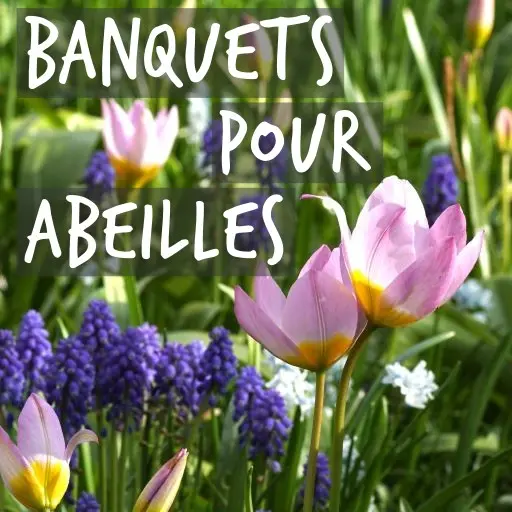 Natural Bulbs | Banquets pour les abeilles