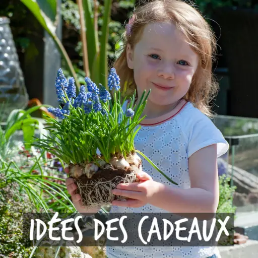 Natural Bulbs | Idées de cadeaux biologiques