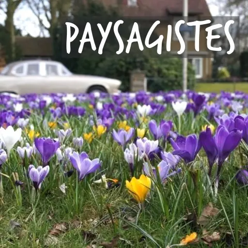 Natural Bulbs | Aménagement paysager