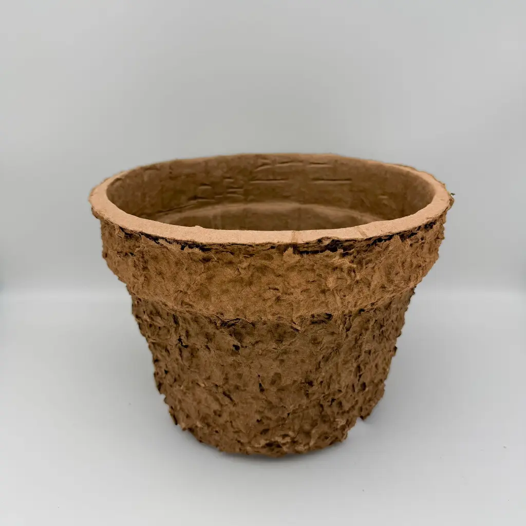 Natural Collection Pot Standing.webp