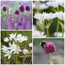 Banquet pour abeilles Caramel chaud - BIO