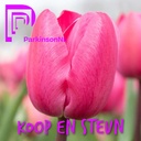 Parkinson Tulipe - BIO