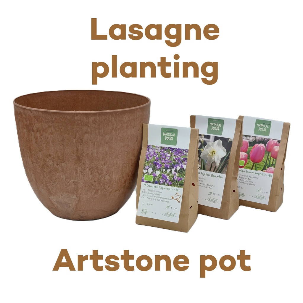 Collection Lasagne avec pot Artstone Terra - BIO