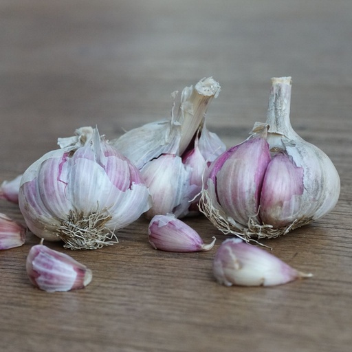 [A9060-150G] Ail Morado - BIO  (150g)