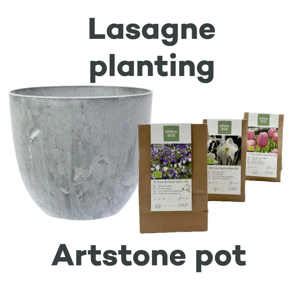 Collection Lasagne avec pot Artstone Noir - BIO