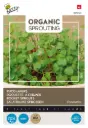 Roquette à germer - Pousses - BIO