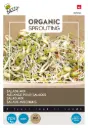 Mélange de Salades - Pousses - BIO