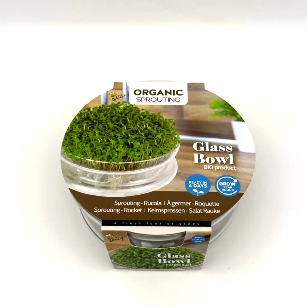 Kit de germination de roquette - Germes - BIO