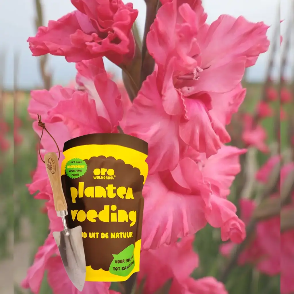Coffret cadeau complet pour maman - BIO