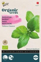 Basilicic Italiano Classico - BIO