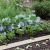 Gamme été / Potager