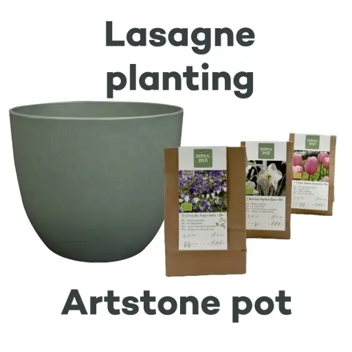 [AC99094] Collection Lasagne avec pot Artstone Thyme - BIO