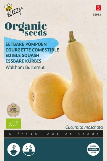 [Buzzy-92983] Courgette Comestible Waltham Butternut - BIO